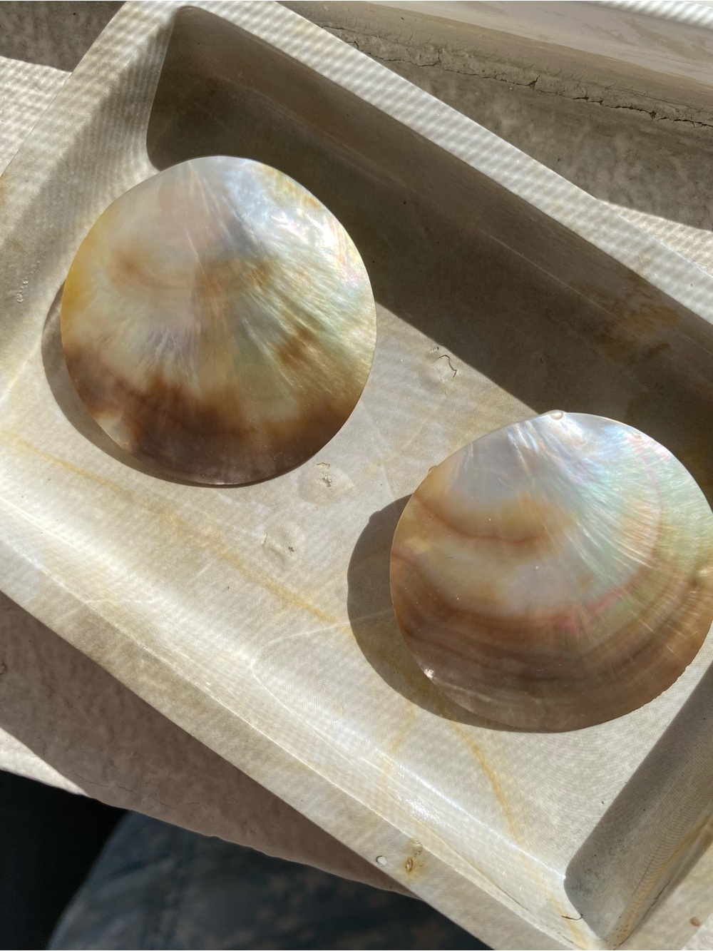 Iridescent Mother of Pearl pierced earrings